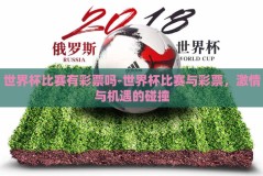 世界杯比赛有彩票吗-世界杯比赛与彩票，激情与机遇的碰撞