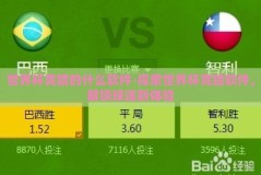 世界杯竞猜的什么软件-探索世界杯竞猜软件，解锁球迷新体验