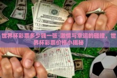 世界杯彩票多少钱一张-激情与幸运的碰撞，世界杯彩票价格小揭秘