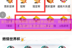 支付宝买世界杯彩票吗-世界杯狂欢，用支付宝也能买彩票的奇妙之旅