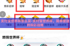 支付宝世界杯怎么买-支付宝世界杯，简单便捷的购彩指南