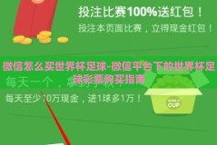 微信怎么买世界杯足球-微信平台下的世界杯足球彩票购买指南
