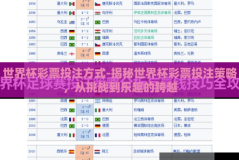 世界杯彩票投注方式-揭秘世界杯彩票投注策略，从挑战到乐趣的跨越