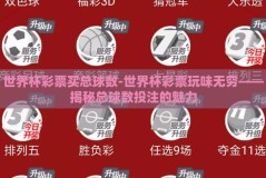 世界杯彩票买总球数-世界杯彩票玩味无穷——揭秘总球数投注的魅力