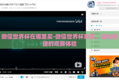 微信世界杯在哪里买-微信世界杯购票，轻松便捷的观赛体验
