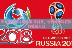 支付宝世界杯哪里买-支付宝，世界杯足球狂欢的便捷入口