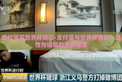 支付宝买世界杯博彩-支付宝与世界杯博彩，理性与谨慎的边界探索