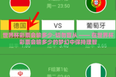 世界杯彩票会输多少-切勿盲从 —— 在世界杯彩票会输多少的梦幻中保持理智