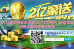 2014世界杯彩票奖金-2014世界杯，彩票奖金的璀璨瞬间与市场透视