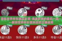 现在世界杯在哪买彩票-追逐梦想的最后一击——解锁世界杯彩票购买的正确姿势