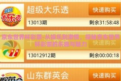 京东世界杯彩票-从娱乐到激情，探秘京东世界杯彩票的乐趣与魅力