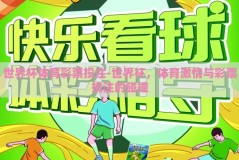 世界杯体育彩票投注-世界杯，体育激情与彩票投注的碰撞