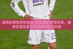 体育彩票世界杯直播-激情绿茵 梦想共享，体育彩票与世界杯直播的魅力交集