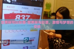 世界杯可以彩票-世界杯与彩票，激情与梦想的交织