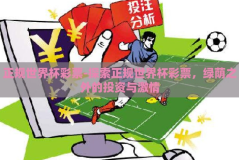 正规世界杯彩票-探索正规世界杯彩票，绿荫之外的投资与激情