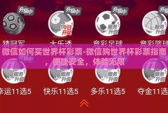 微信如何买世界杯彩票-微信购世界杯彩票指南，便捷安全，体验无限