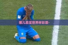 哪儿能买世界杯彩票-