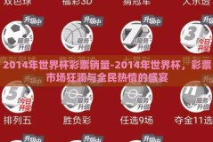 2014年世界杯彩票销量-2014年世界杯，彩票市场狂澜与全民热情的盛宴