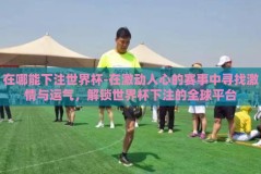 在哪能下注世界杯-在激动人心的赛事中寻找激情与运气，解锁世界杯下注的全球平台