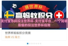 支付宝怎样投注世界杯-支付宝平台，一个简明易懂的投注世界杯指南