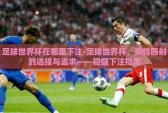 足球世界杯在哪里下注-足球世界杯，激情四射的选择与追求——稳健下注指南