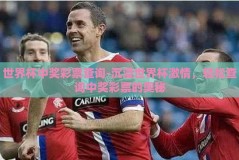 世界杯中奖彩票查询-沉浸世界杯激情，轻松查询中奖彩票的奥秘