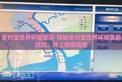 支付宝世界杯哪里买-探秘支付宝世界杯观赛新风尚，线上购票指南