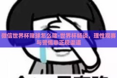 微信世界杯赌球怎么赌-世界杯畅谈，理性观赛与警惕非正规渠道