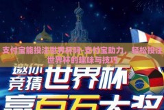 支付宝能投注世界杯吗-支付宝助力，轻松投注世界杯的趣味与技巧