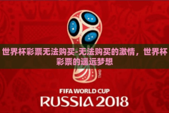 世界杯彩票无法购买-无法购买的激情，世界杯彩票的遥远梦想