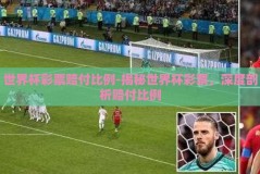 世界杯彩票赔付比例-揭秘世界杯彩票，深度剖析赔付比例
