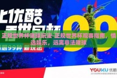 正规世界杯赌球玩法-正规世界杯观赛指南，慎选娱乐，远离非法赌球
