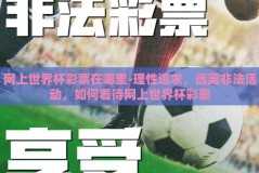 网上世界杯彩票在哪里-理性追求，远离非法活动，如何看待网上世界杯彩票
