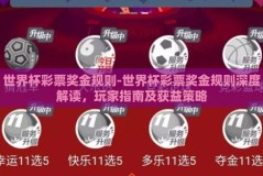 世界杯彩票奖金规则-世界杯彩票奖金规则深度解读，玩家指南及获益策略