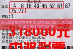 天天盈彩票世界杯中奖-探寻幸运之门，天天盈彩票世界杯的惊喜之旅