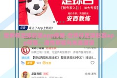 世界杯足球彩票app停售-世界杯足球彩票app停售，理性审视与未来展望