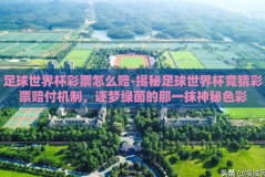 足球世界杯彩票怎么赔-揭秘足球世界杯竞猜彩票赔付机制，逐梦绿茵的那一抹神秘色彩