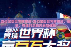 支付宝买世界杯体彩-支付宝买世界杯体彩，便捷、有趣的足球风暴新体验