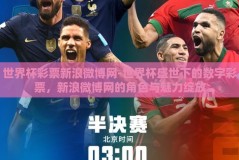 世界杯彩票新浪微博网-世界杯盛世下的数字彩票，新浪微博网的角色与魅力绽放