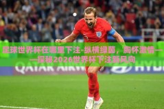 足球世界杯在哪里下注-纵横绿茵，胸怀激情——探秘2026世界杯下注新风向