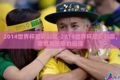2014世界杯足彩彩票-2014世界杯足彩彩票，激情与策略的碰撞