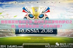 我在哪买世界杯彩票-寻找世界杯激情的梦幻之选，我在哪里买到了世界杯彩票？