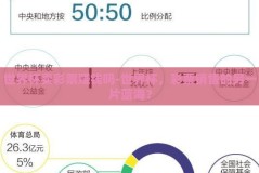 世界杯卖彩票赚钱吗-世界杯，彩票销售的另一片蓝海？
