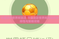 中国足彩世界杯玩法-中国足彩世界杯玩法的多样性与策略攻略