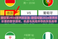 微信买2026世界杯彩票-微信探秘2026世界杯彩票的数字游戏，机遇与风险并存的灰色地带