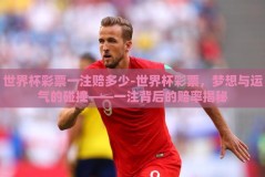 世界杯彩票一注赔多少-世界杯彩票，梦想与运气的碰撞——一注背后的赔率揭秘