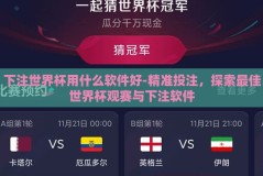 下注世界杯用什么软件好-精准投注，探索最佳世界杯观赛与下注软件