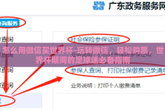 怎么用微信买世界杯-玩转微信，轻松购票，世界杯期间的足球迷必备指南