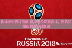 伪球迷世界杯微信-伪球迷的观赛仪式，世界杯期间的微信朋友圈