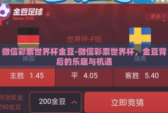 微信彩票世界杯金豆-微信彩票世界杯，金豆背后的乐趣与机遇
